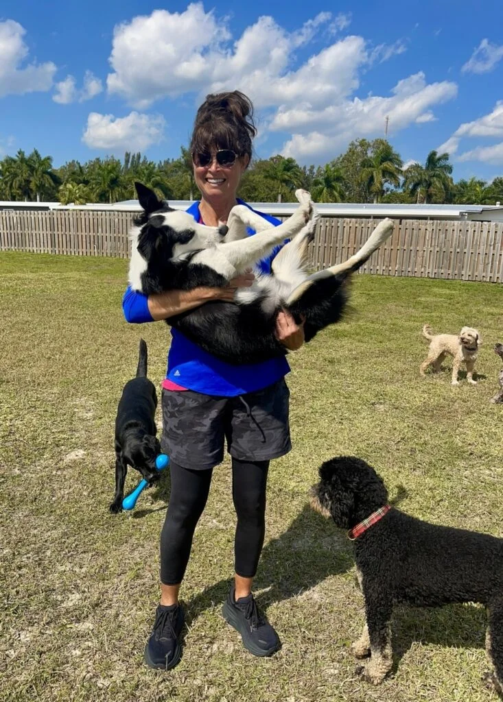 Woman lifts dog up while other dogs gather around her.